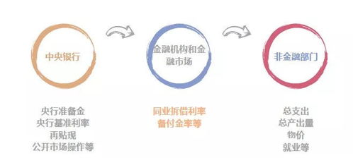 疏通金融活水“最后一公里” 以有效貨幣傳導賦能實體經濟