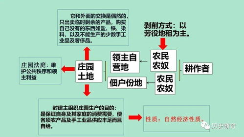 西歐經濟與社會發展 社會經濟咨詢服務的角色與演變
